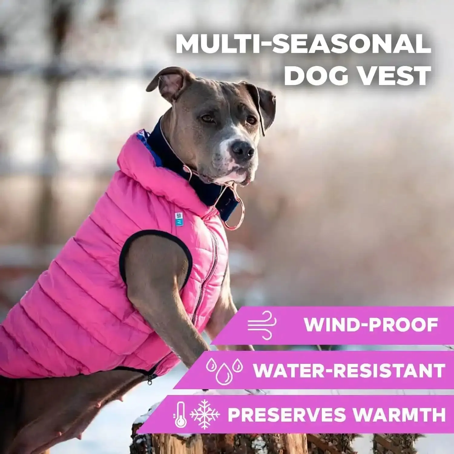 AiryVest Lightweight Reversible Winter Dog Coat Warm Dog Jacket  Water