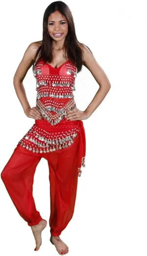 BellyDancing Halloween Costume Set | Harem Pants, Top & Hip Scarf | The Belly Dancer